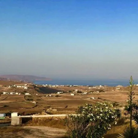 Studio Maia